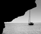 mare