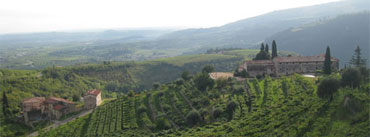 Da Bussolengo alla Valpolicella